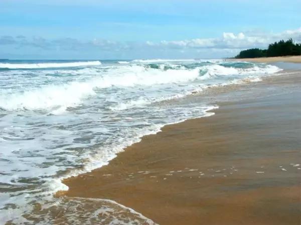 plagevagues
